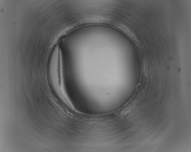 X0000078240434200612011608