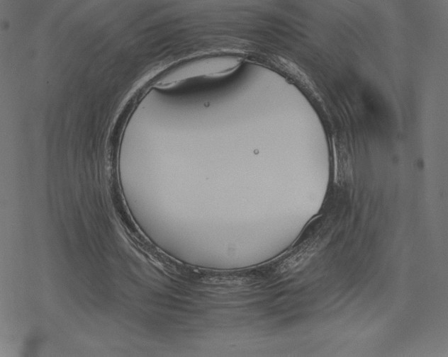 X0000078240435200612011608