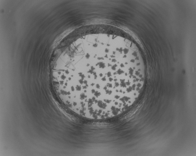 X0000078240437200612011608