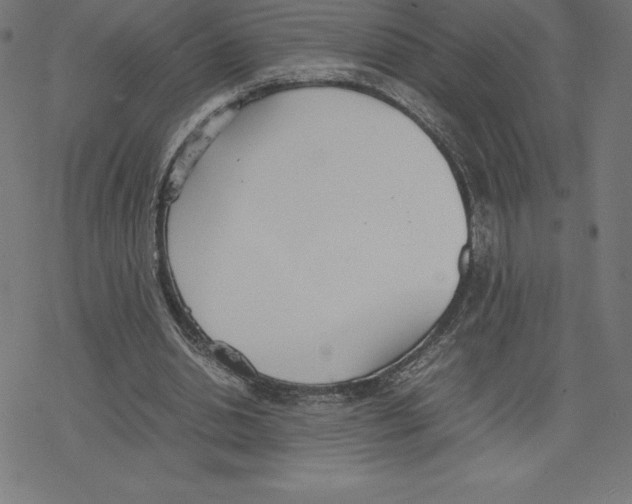 X0000078240438200612011608