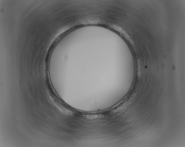 X0000078240439200612011608