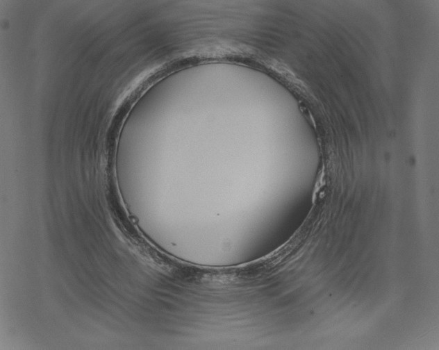 X0000078240440200612011608