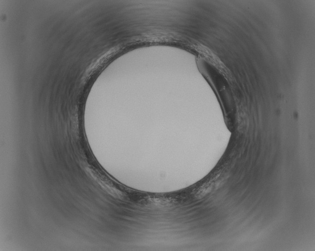 X0000078240442200612011608