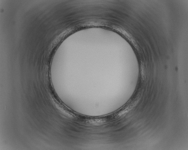 X0000078240445200612011608