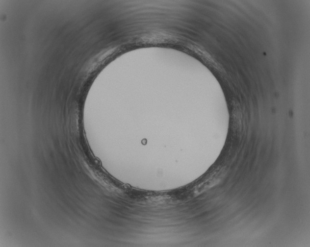 X0000078240446200612011608