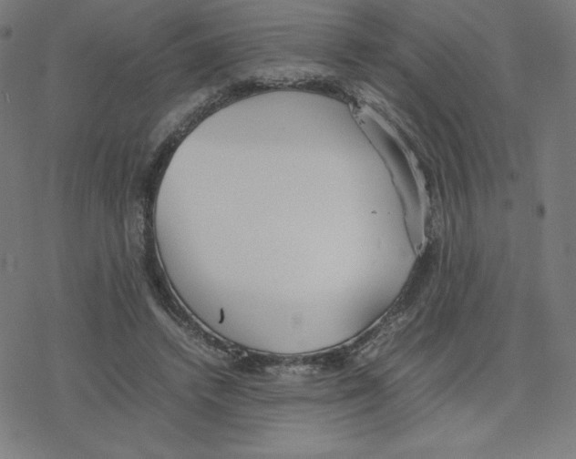 X0000078240448200612011609