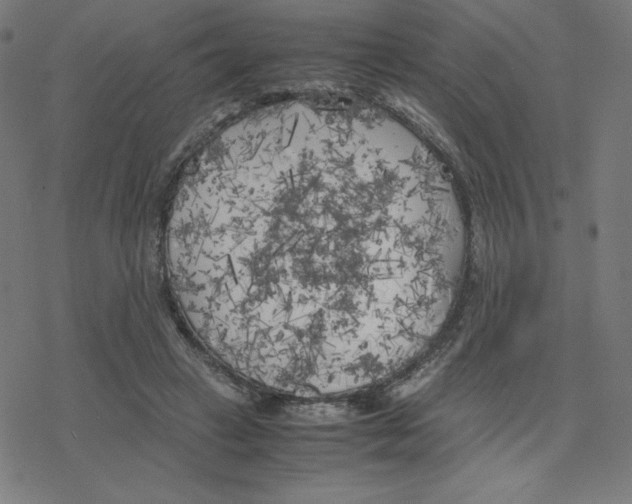 X0000078240449200612011609