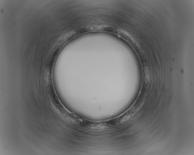 X0000078240451200612011609