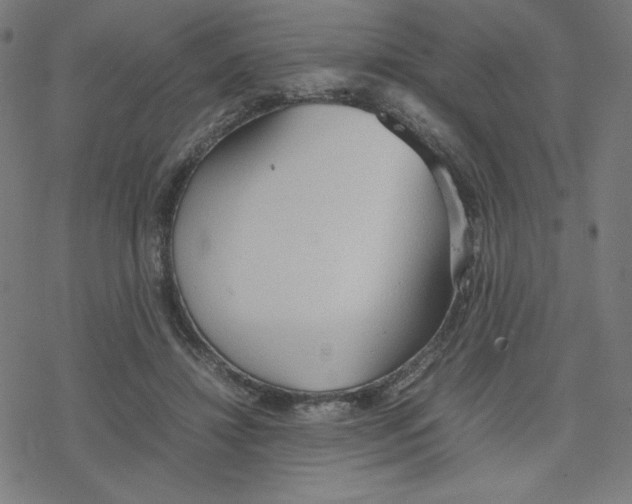 X0000078240452200612011609