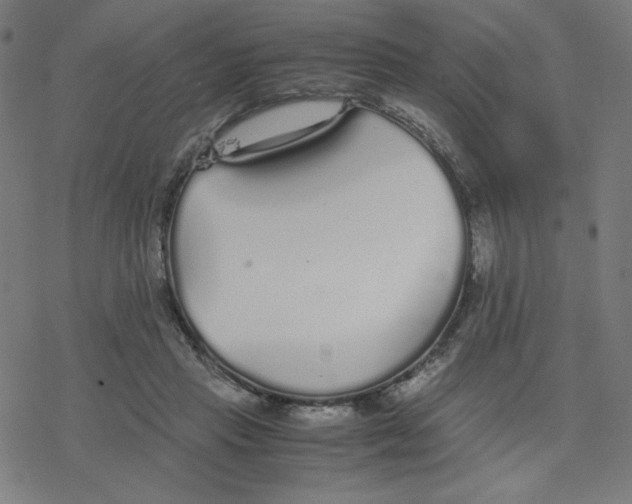 X0000078240453200612011609