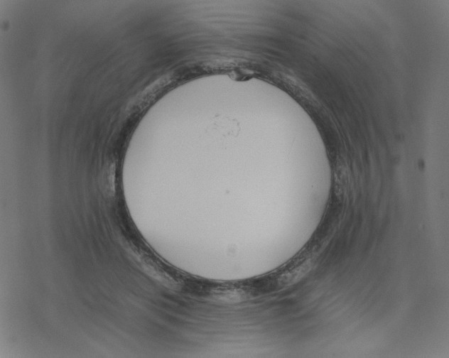 X0000078240454200612011609