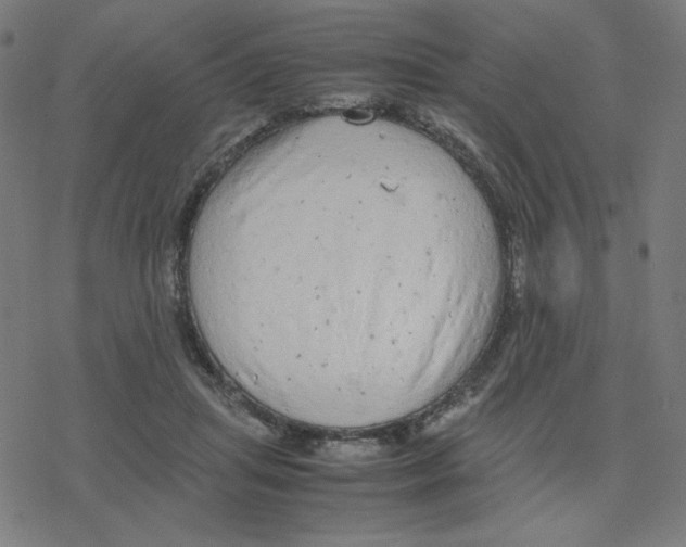 X0000078240455200612011609