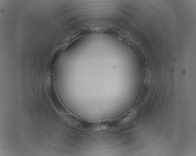 X0000078240456200612011609