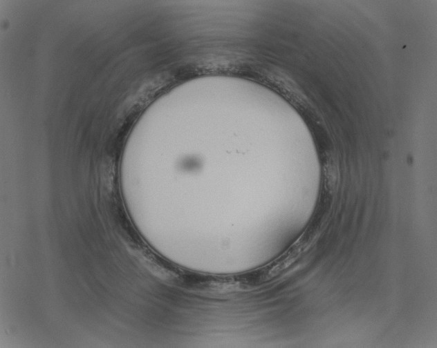 X0000078240458200612011609