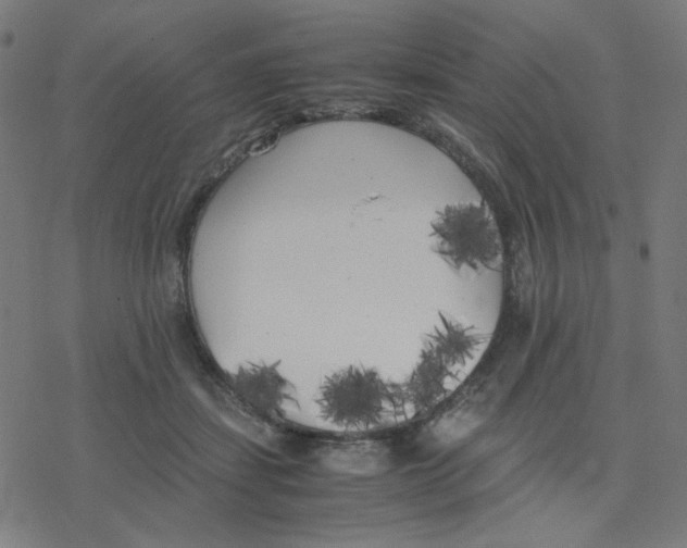 X0000078240459200612011609