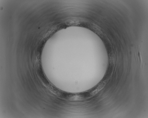 X0000078240460200612011609