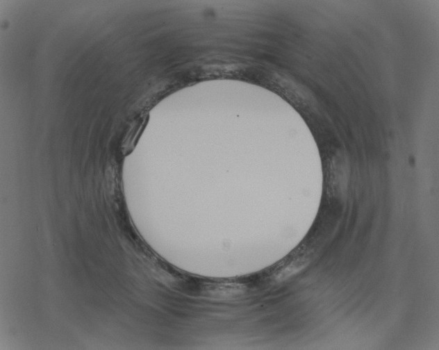 X0000078240463200612011609