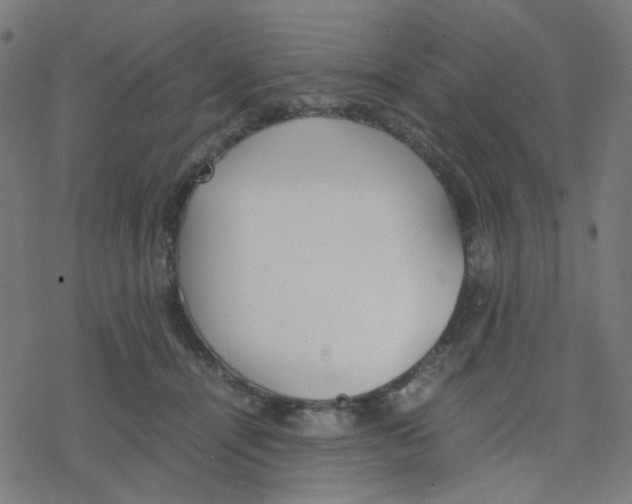 X0000078240464200612011609