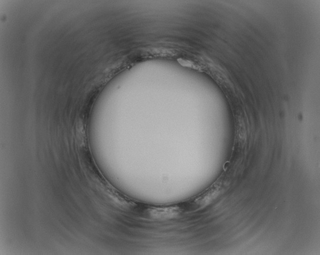 X0000078240465200612011609