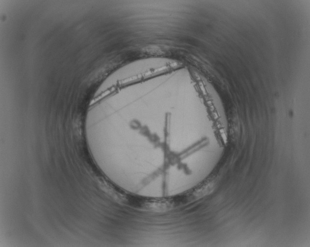 X0000078240466200612011609