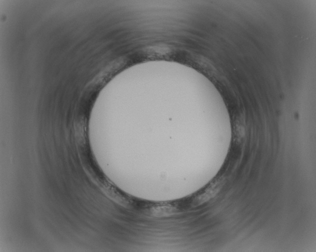 X0000078240468200612011609