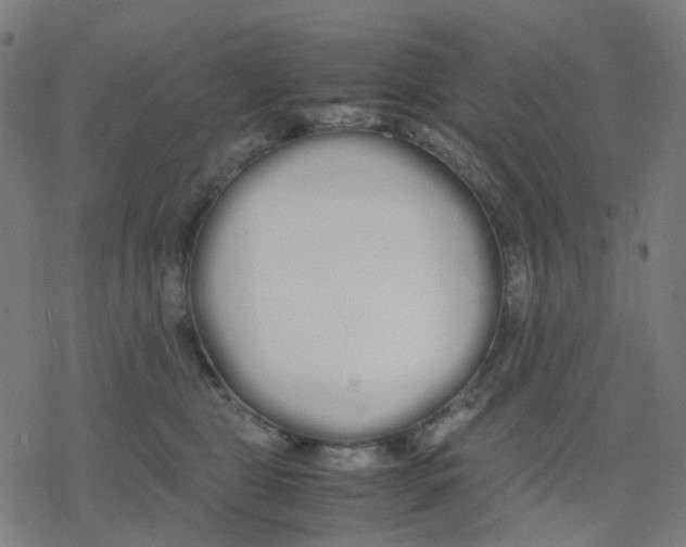 X0000078240469200612011609