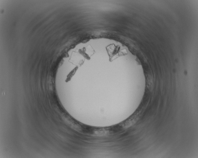 X0000078240470200612011609