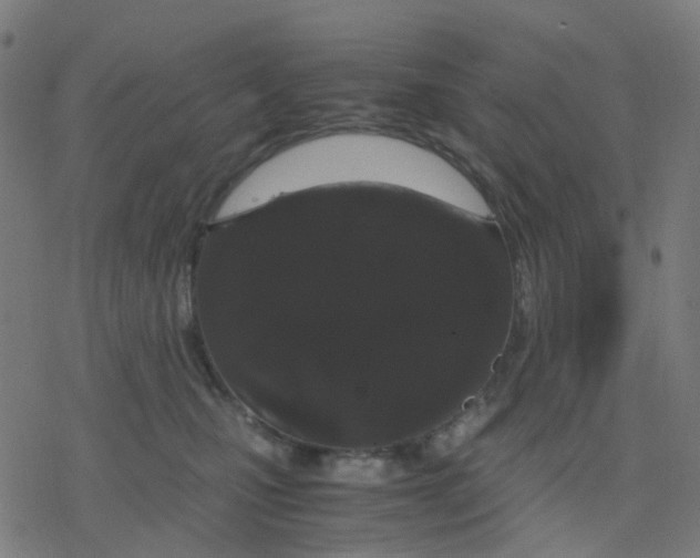 X0000078240471200612011609