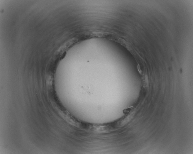 X0000078240472200612011609