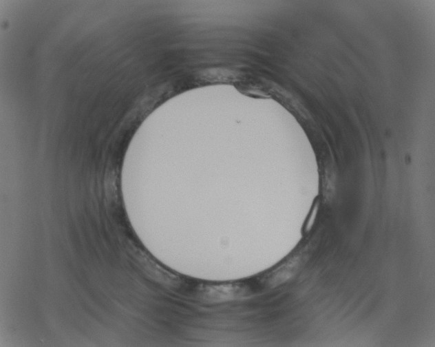 X0000078240473200612011609