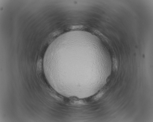 X0000078240475200612011609