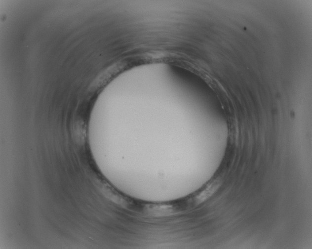 X0000078240476200612011609