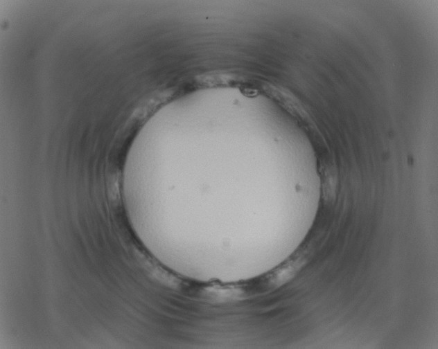 X0000078240477200612011609