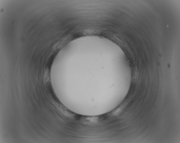 X0000078240478200612011609