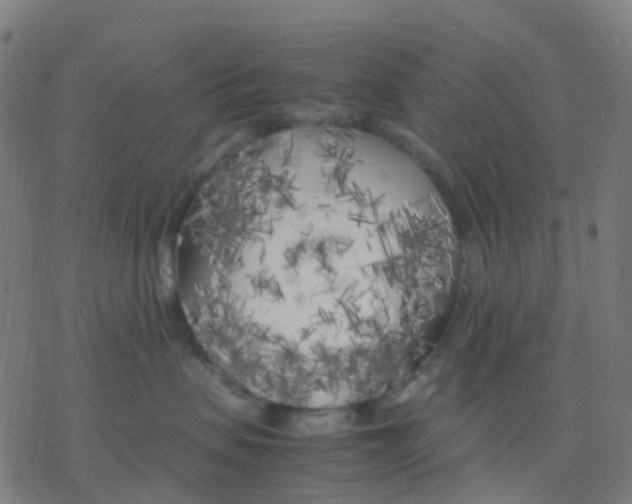 X0000078240479200612011609