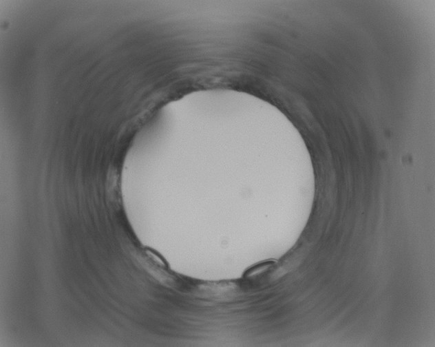 X0000078240480200612011609