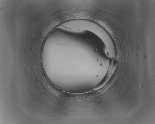 X0000078240481200612011608