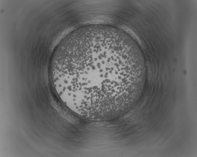 X0000078240482200612011608