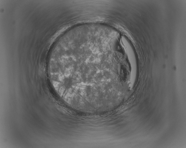 X0000078240483200612011608