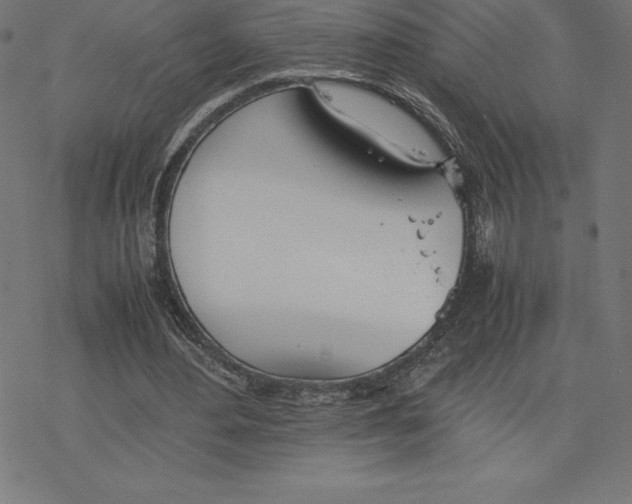 X0000078240484200612011608