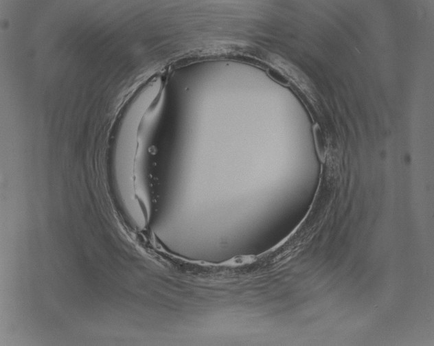 X0000078240485200612011608