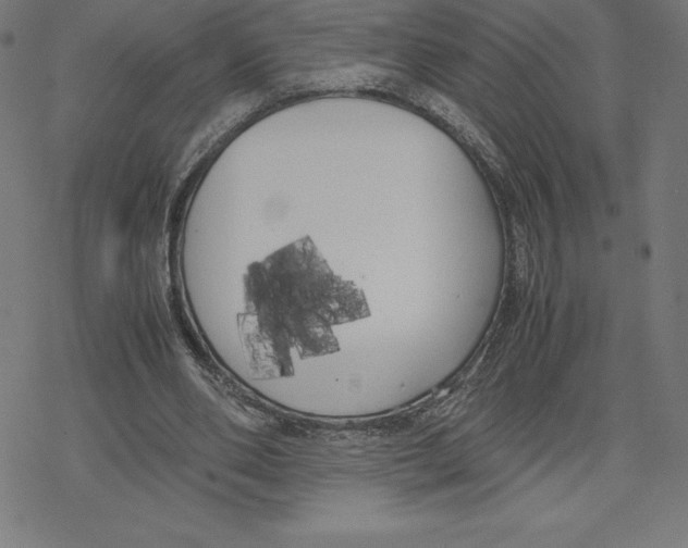 X0000078240486200612011608