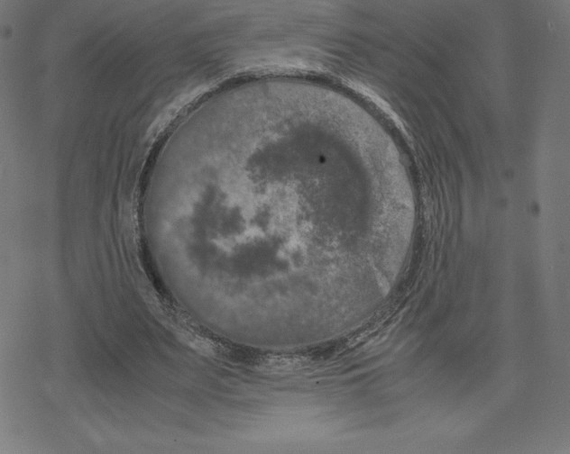 X0000078240487200612011608