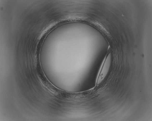 X0000078240488200612011608