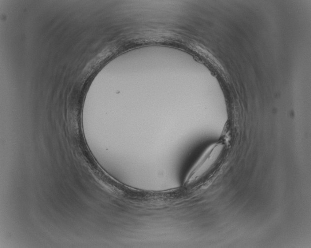 X0000078240489200612011608