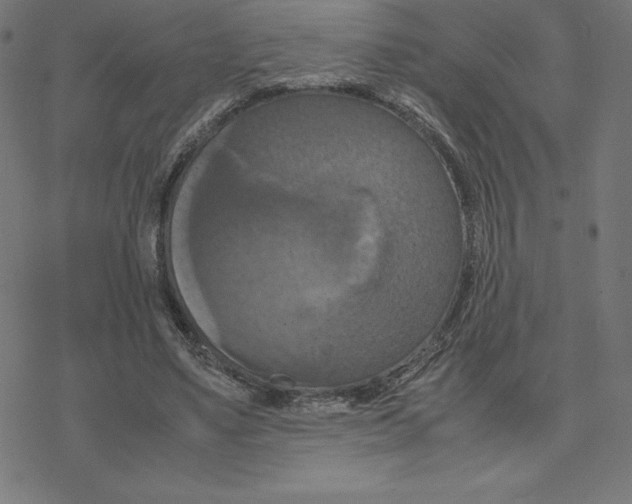 X0000078240491200612011608