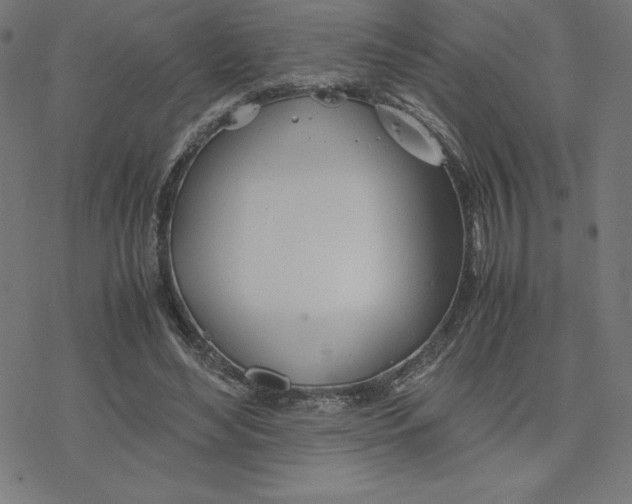 X0000078240492200612011608