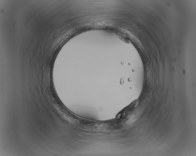 X0000078240493200612011608