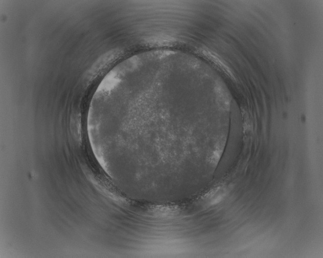 X0000078240494200612011608