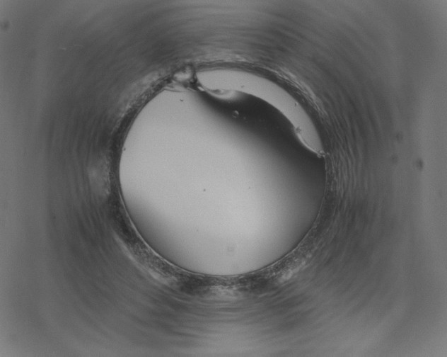 X0000078240496200612011608